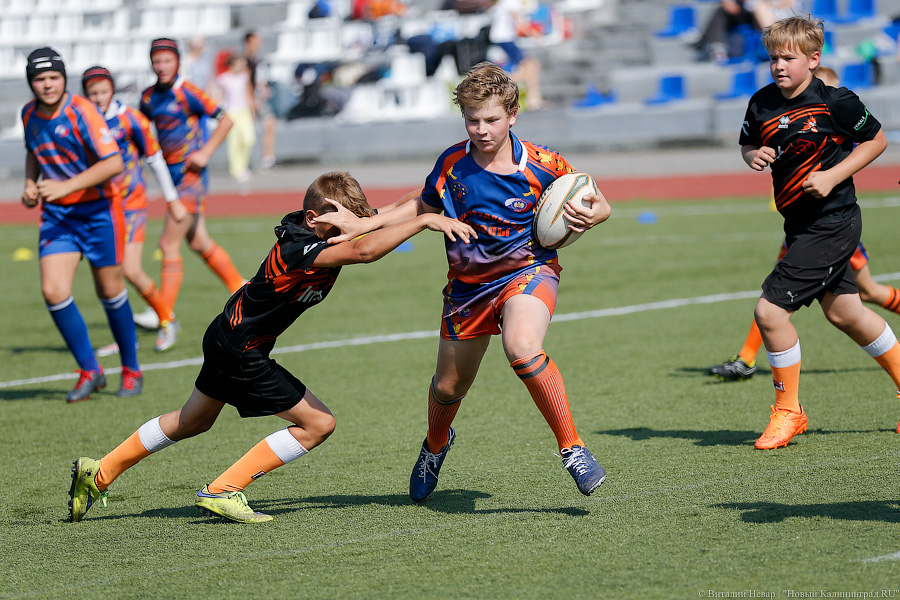 С овальным мячом: как в Калининграде прошёл турнир по регби (фото)