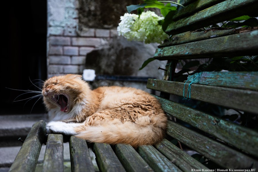 Погода в Калининградской области 23 сентября