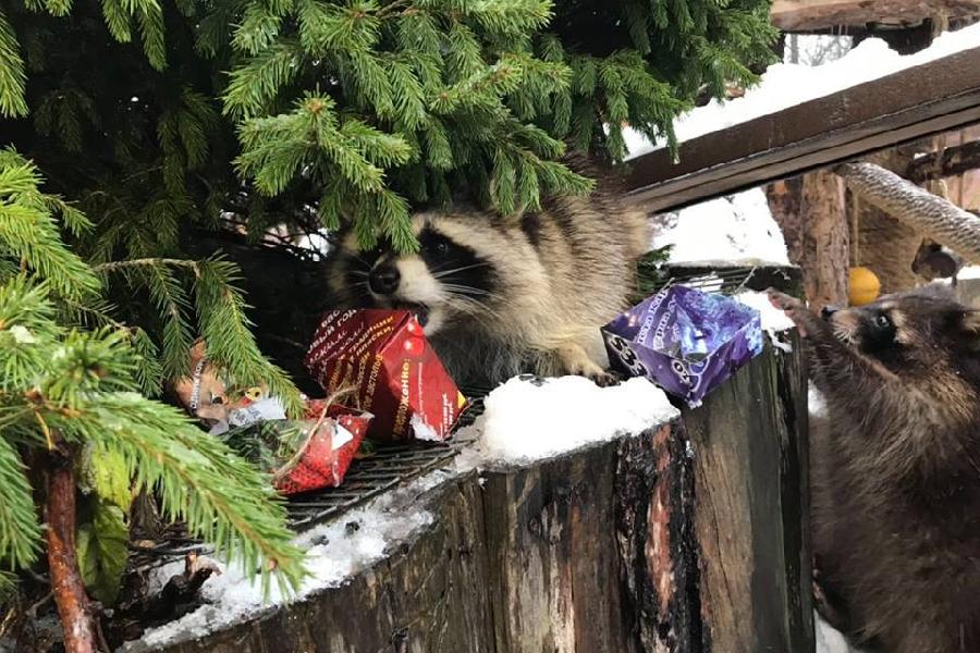 Фото — Анжела Хантер.
