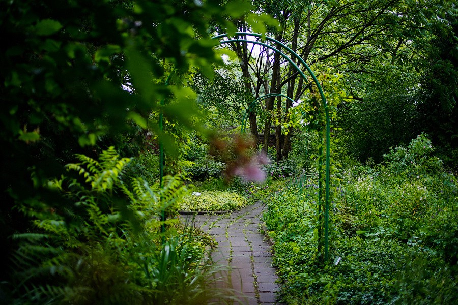 На неведомых дорожках: дендропарк калининградского Экоцентра