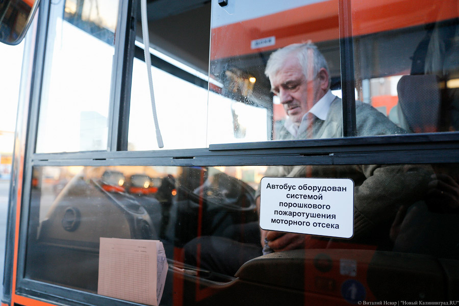 «Сделав шаг»: в Калининграде появились новые низкопольные автобусы (фото)
