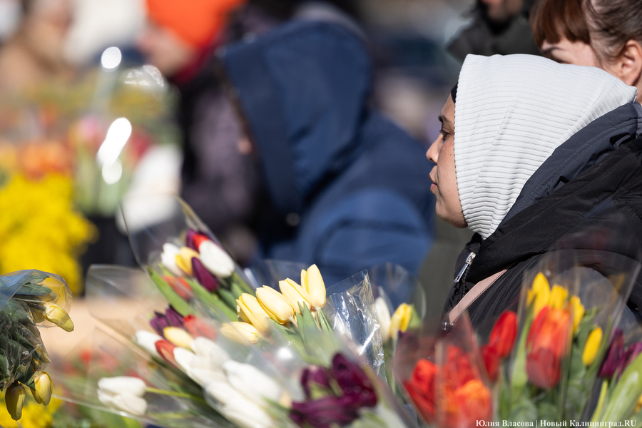 Цветочные баррикады: как выглядят улицы Калининграда 8 марта (фото)