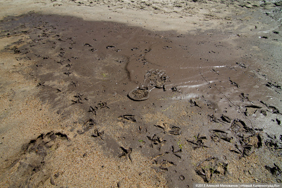 Запустение и сиеста: Светлогорск накануне открытия пляжного сезона