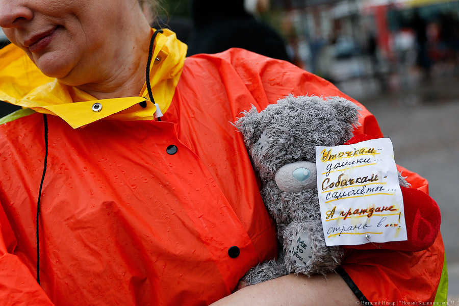 Утки-мандаринки: в Калининграде прошло шествие против коррупции