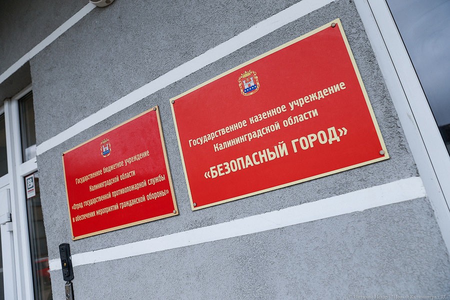 В Калининграде установят видеокамеры для водителей, не пропускающих пешеходов на переходах