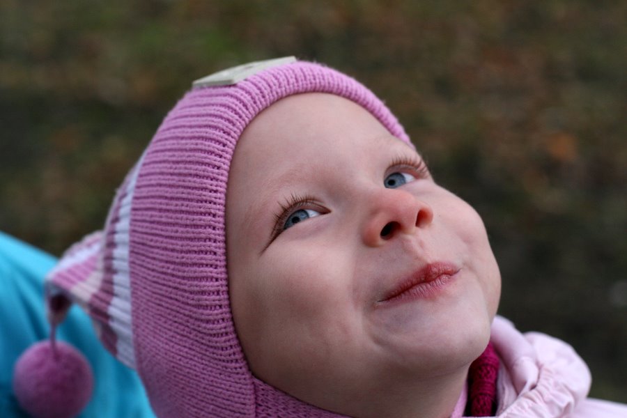 "Девочка с "кусючками": репортаж "Нового Калининграда.Ru"