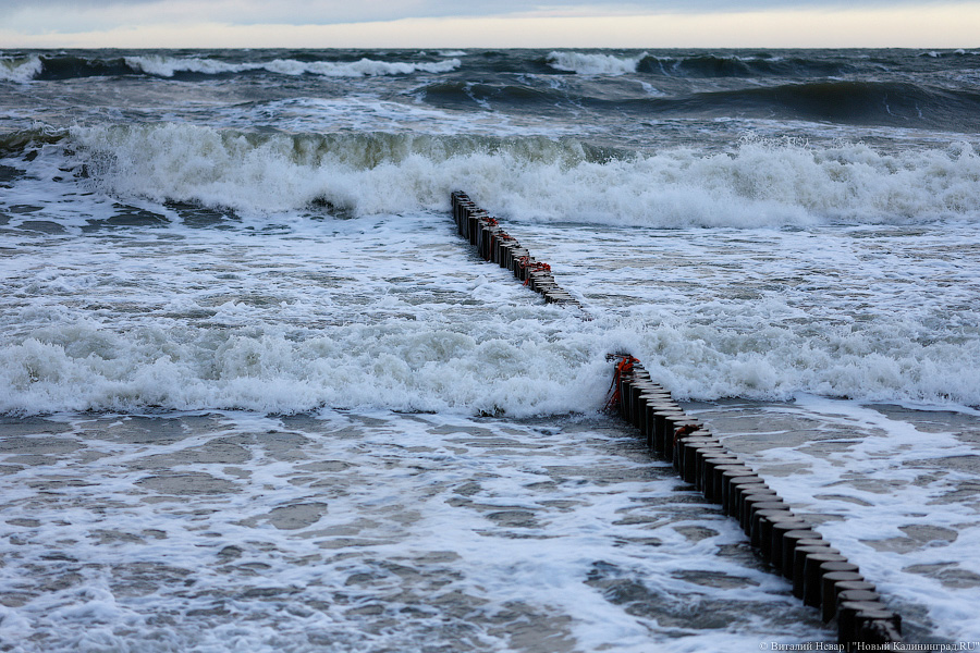 Ярость Эльзы: штормовое море в фоторепортаже «Нового Калининграда»