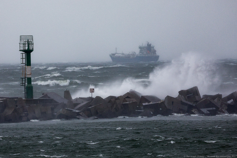 Что нам ветер: фоторепортаж из штормового Балтийска (фото)