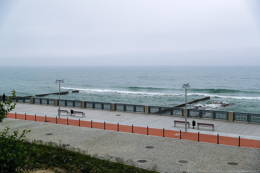 Много лиственницы и чуть песка: как выглядит светлогорский «пляж»  