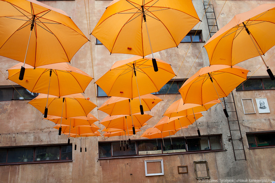 Суета вокруг шкафа: в Калининграде открылась интеллектуальная арт-площадка