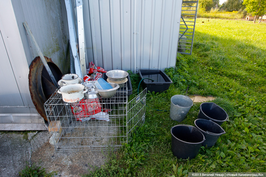 Естественный отбор: что творится за забором Службы защиты животных (фото)