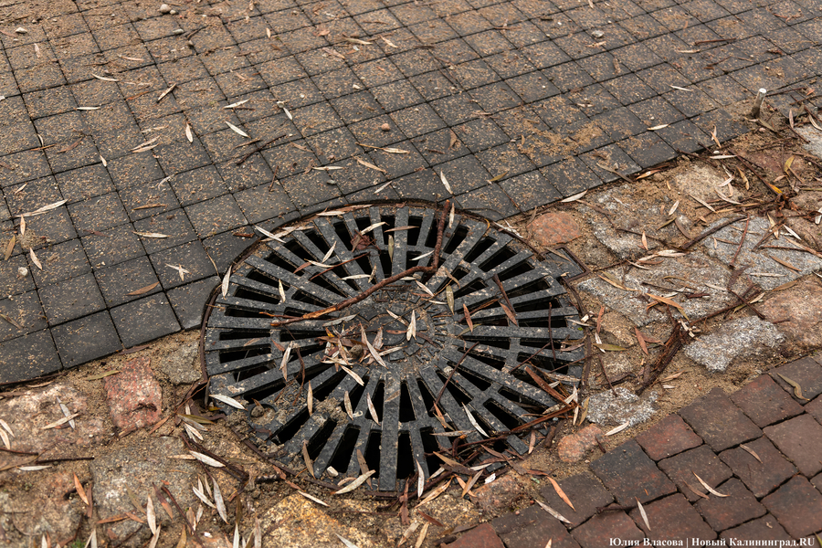 50 оттенков коричневого: как выглядит после ремонта Фестивальная аллея (фото)