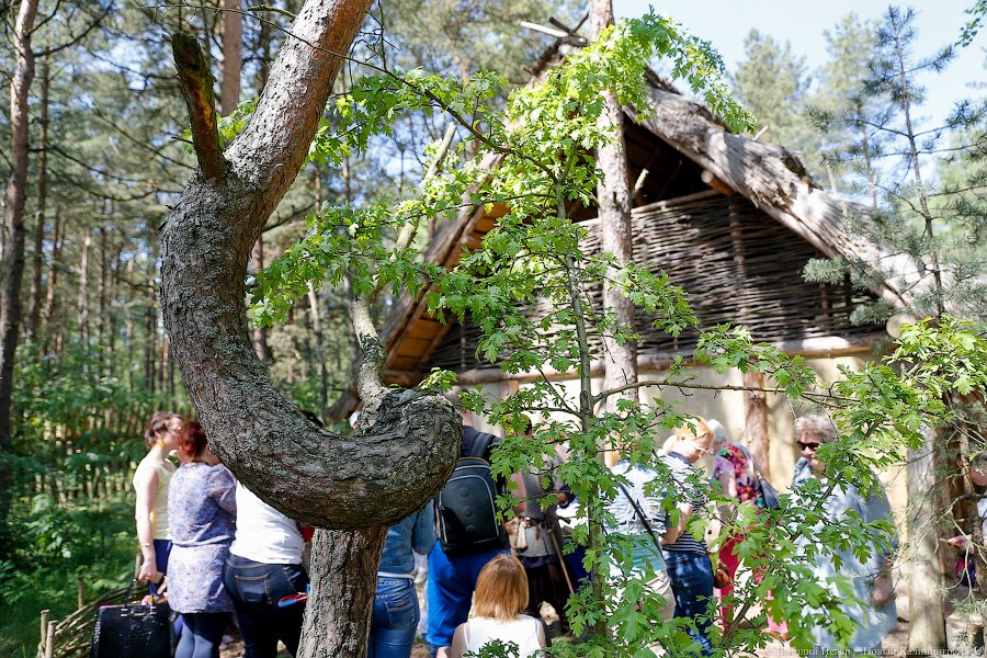 Олаф и его хирд: деревня викингов на Куршской косе стала обитаемой