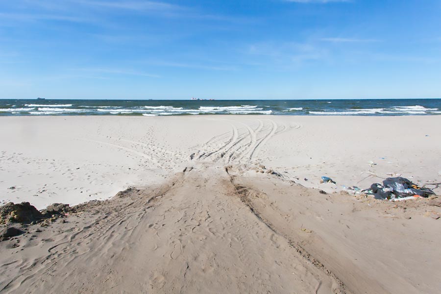 Май 2023-го грозит стать самым засушливым за историю метеонаблюдений в регионе