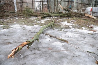 Власти до сих пор не ликвидировали последствия июльского урагана в поселке Весново