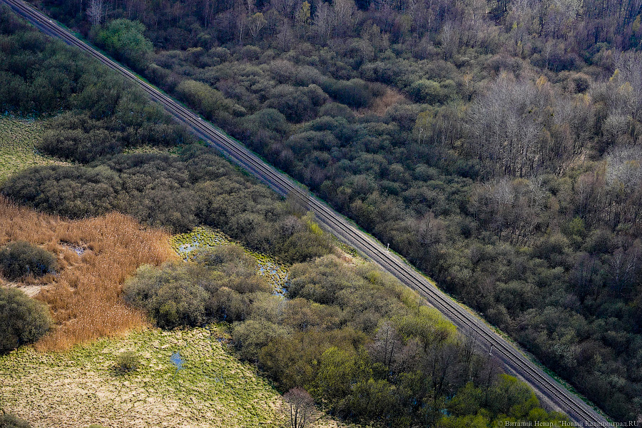 Под винтом вертолёта о чем-то поёт: воздушный парад глазами участника (фото)