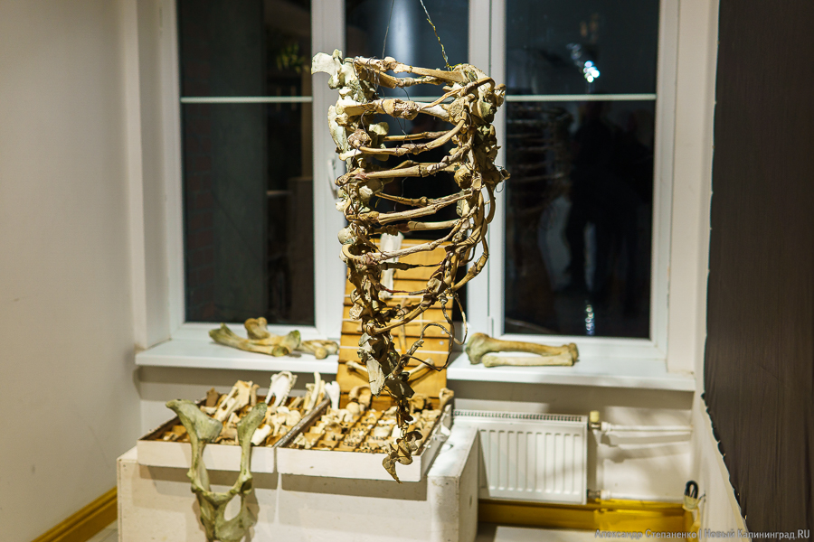 «Порт назначения недоступен»: программисты и художники вместе создают арт-объект (фото)