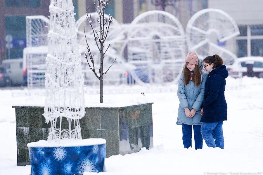 Синоптики подсчитали количество снежных новогодних ночей в Калининграде