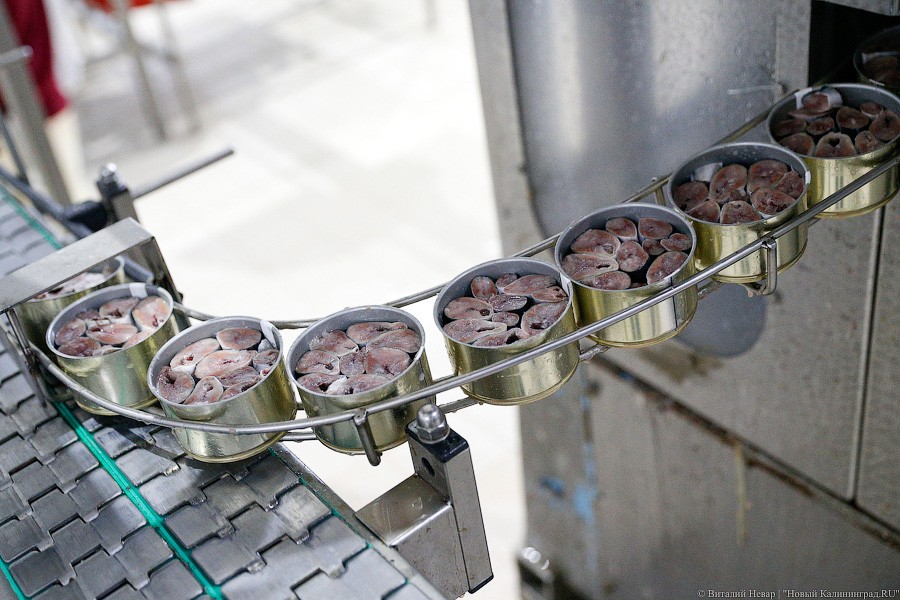 В отношении рыбоконсервного комбината в Пионерском ввели процедуру банкротства