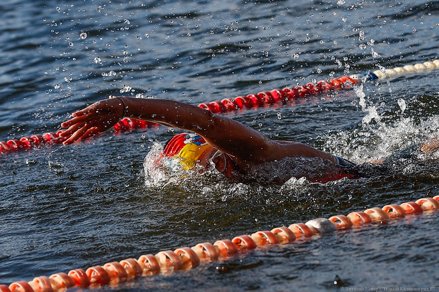 Время моржей: в  Калининграде прошли соревнования по зимнему плаванию (фото)