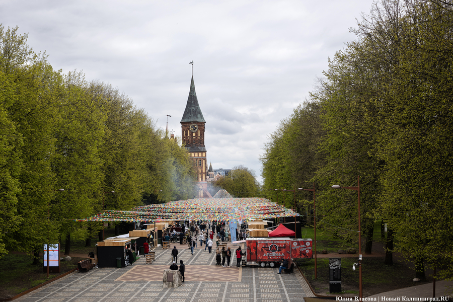 Прикидываясь Кантом: у Кафедрального собора открылась ярмарка (фото)