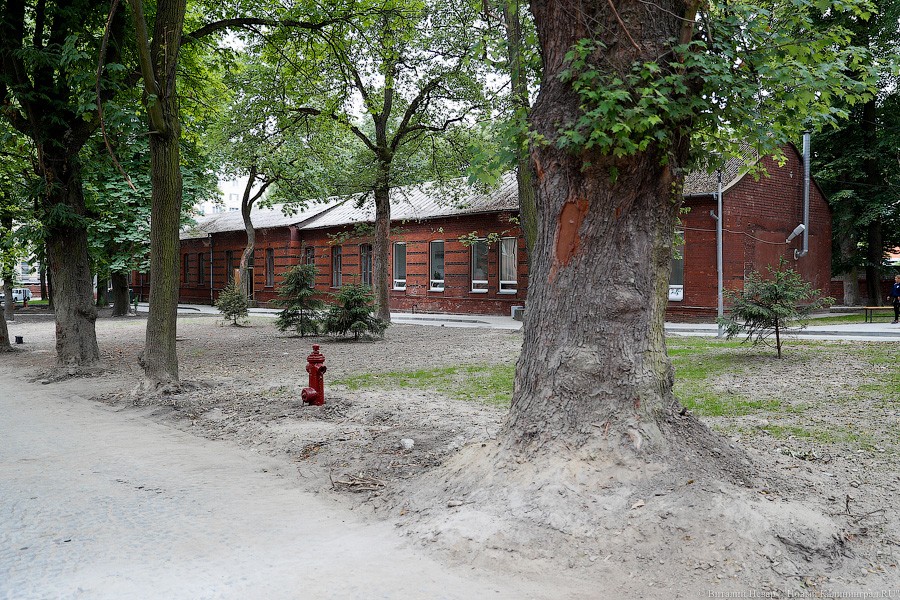 «На грани»: инфекционную больницу почти успели отремонтировать к началу ЧМ