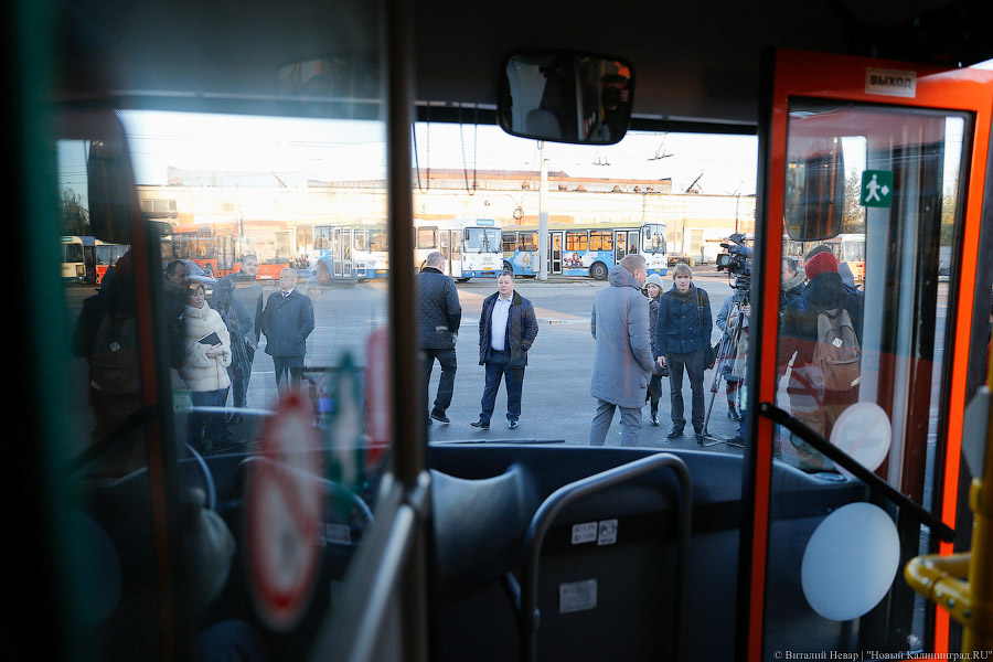 «Сделав шаг»: в Калининграде появились новые низкопольные автобусы (фото)