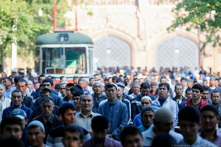 Традиционная жертва: как в Калининграде Курбан-байрам отмечать начали