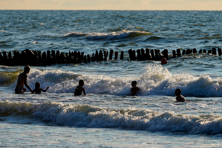 В 2022 году на Куршской косе намерены строить волнорезы