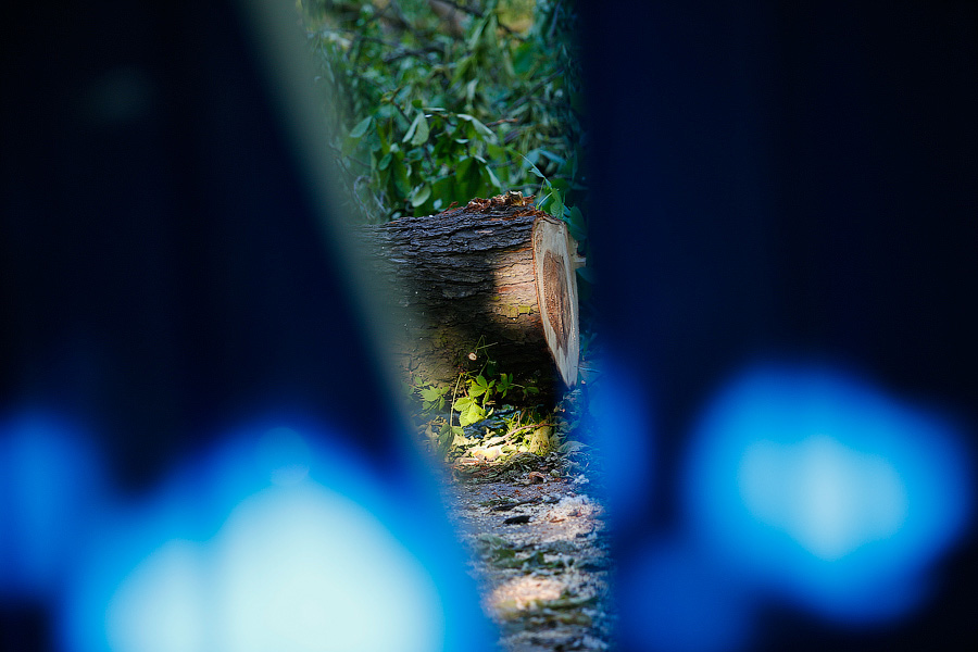 Все законно: власти Калининграда проиграли суд за сквер на улице Горького у прокуратуры