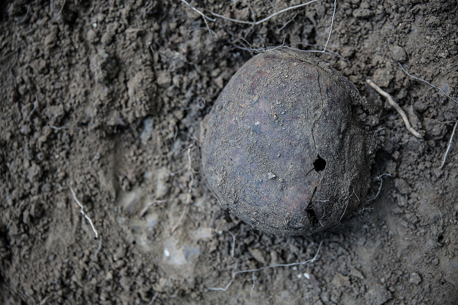 По следам мародёров: в Багратионовском районе поисковики перезахоранивают советских солдат