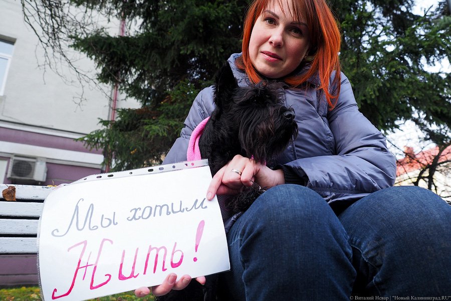 За что нас убивают?: как в Калининграде митинговали в защиту животных