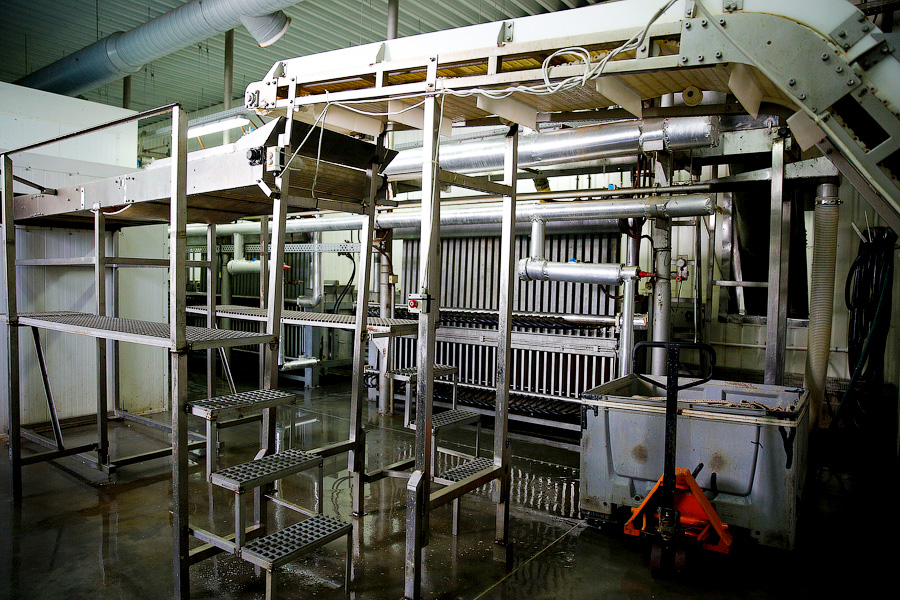 Без паники и спасибо Путину: что думают производители хлеба и консервов о продовольственном эмбарго