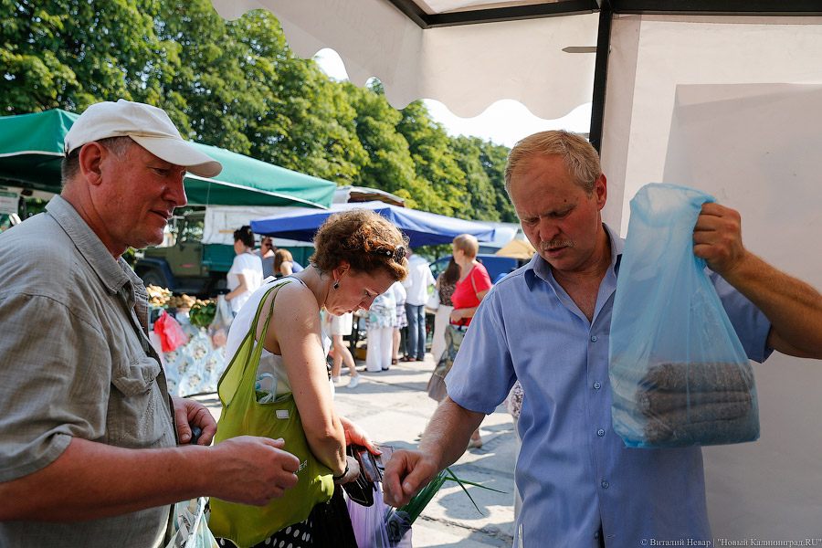 Очереди по 20-30 человек: как в Калининграде продавали гречку по 39 рублей