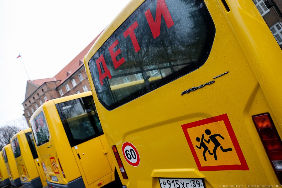 Жёлтые газели: муниципалитетам вручили ключи от новых школьных автобусов