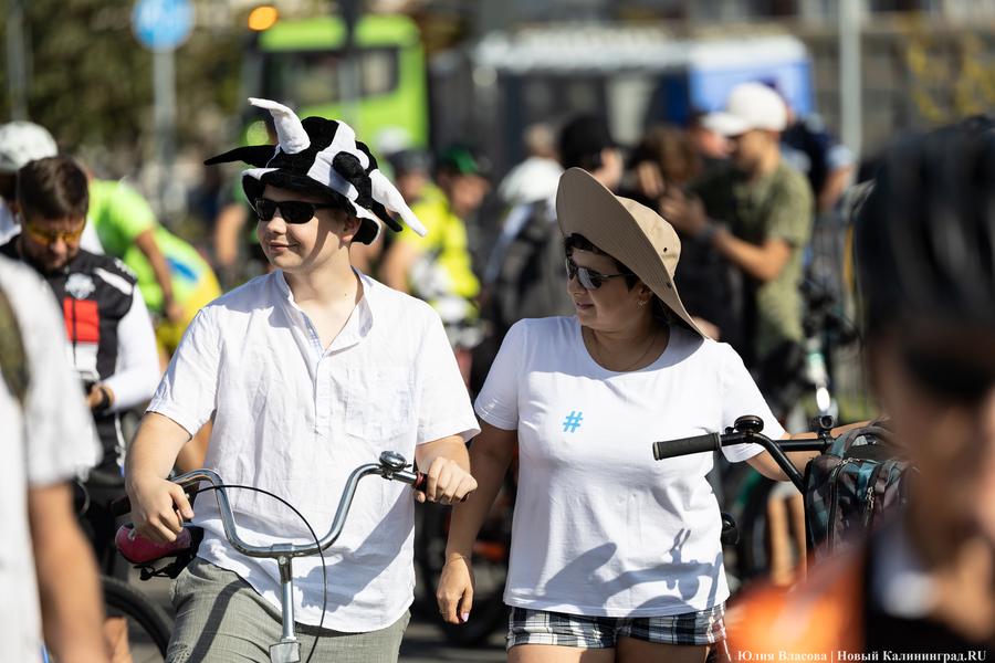 До моря на двух колёсах: в Калининграде проходит велопробег «Тур-де-Кранц» (фото)