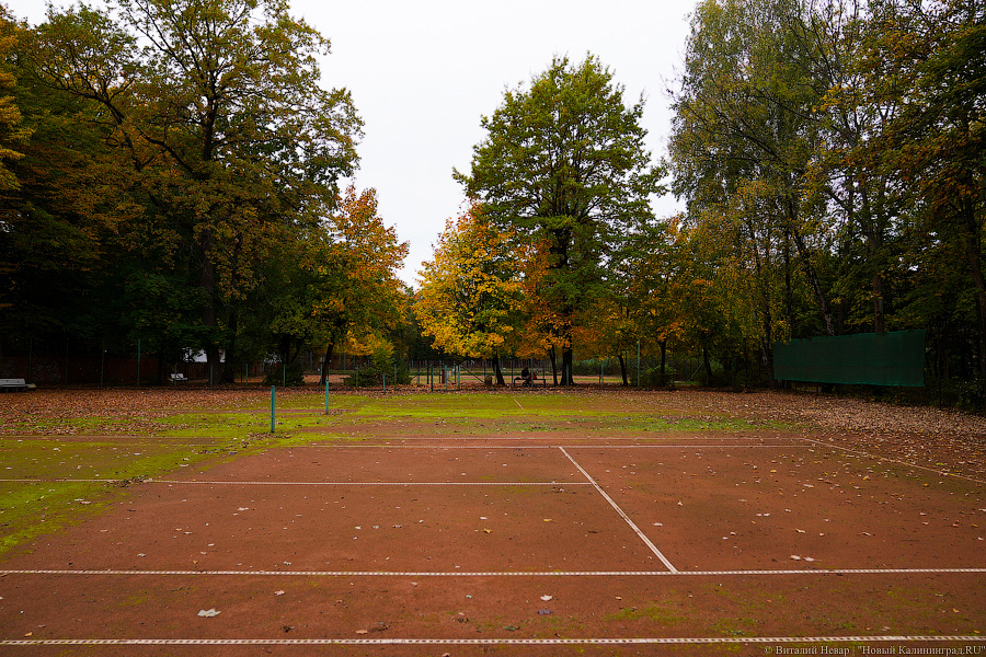 Увидеть в последний раз: осень на стадионе «Спартак», который хотят застроить (фото)