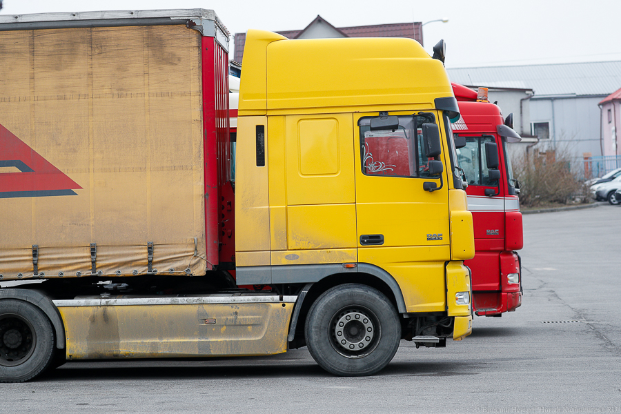 Из-за сбоя в работе систем таможня Литвы не пропускает грузовики из Калининградской области