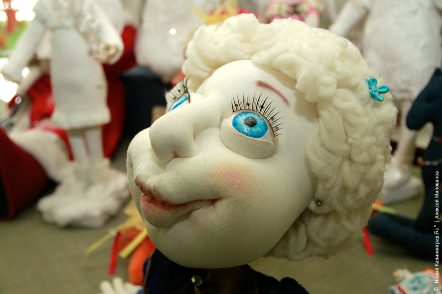 "Медвежонок Тедди и все-все-все": фоторепортаж "Нового Калининграда.Ru"