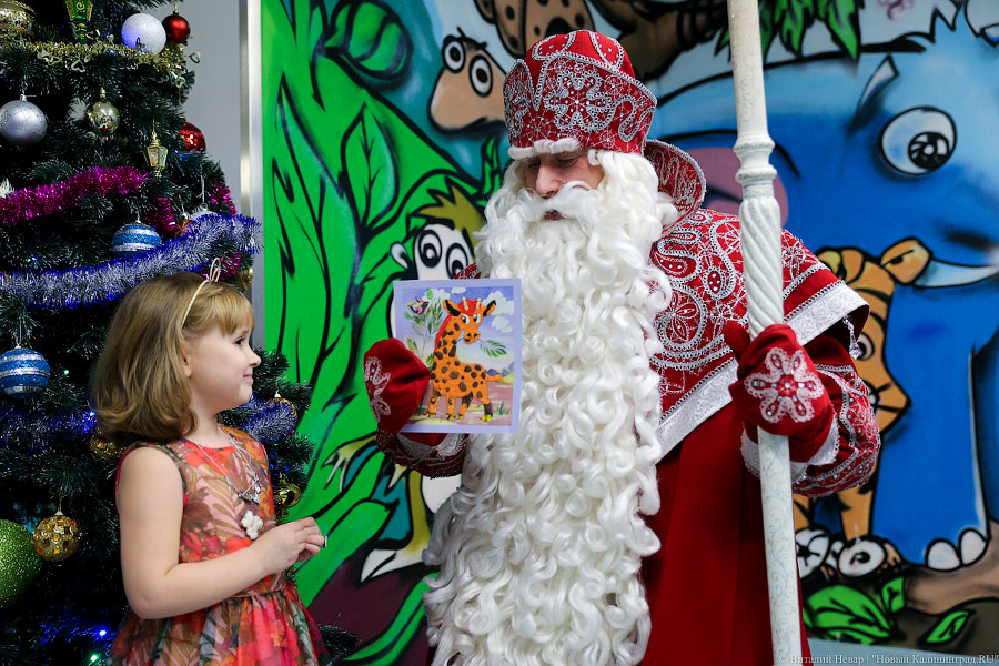 «Он настоящий»: региональный кардиоцентр посетил Дед Мороз из Великого Устюга