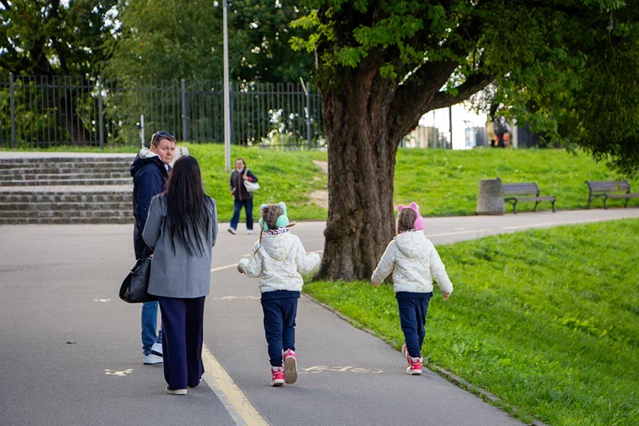 Власти рассказали, сколько семей региона пользуются мерами поддержки