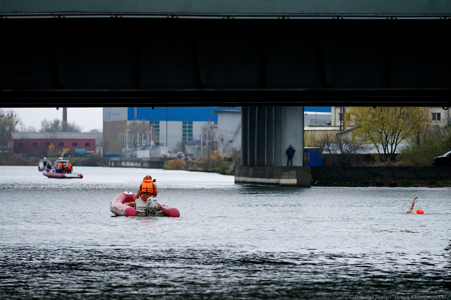 День моржа: как пловцы пытались защитить экосистему Преголи (фото)