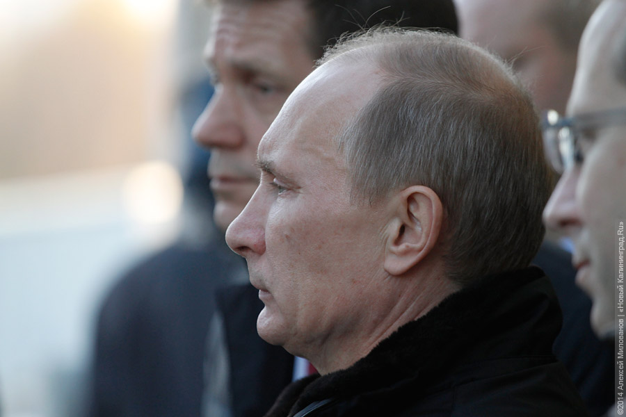 Опрос: деятельность Путина одобряют 80% россиян