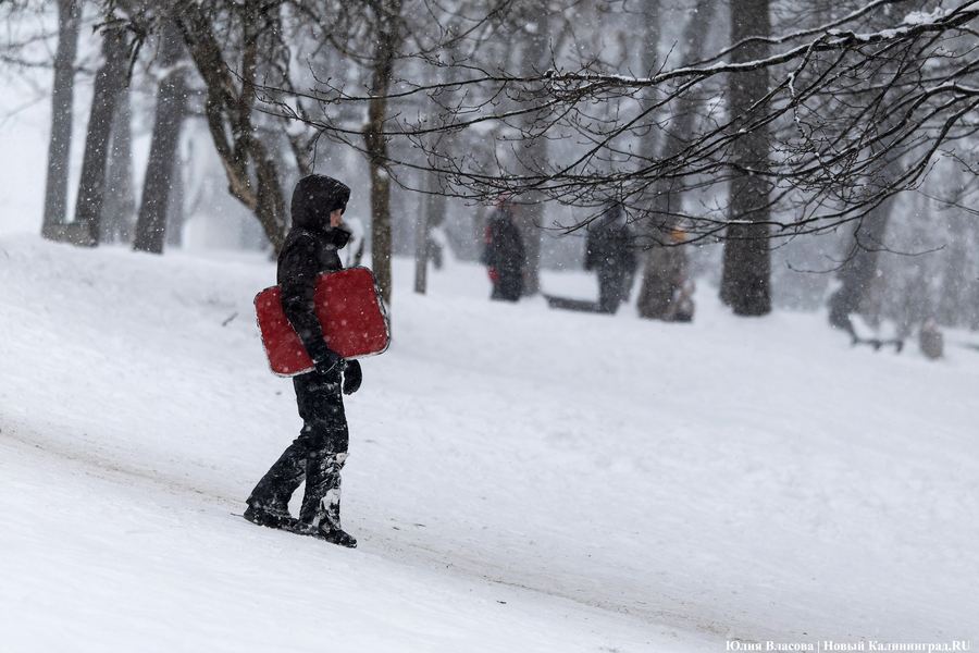 Погода в Калининградской области 28 ноября