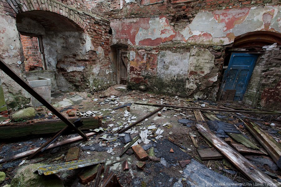 «Шаакен, волонтеры и кот Воровай»: фоторепортаж «Нового Калининграда.Ru»