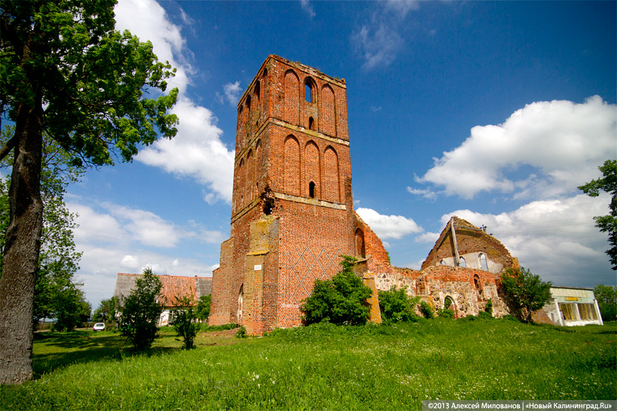 Навоз и куры: кирха 14-го века в поселке Каштаново стала пастбищем для скота