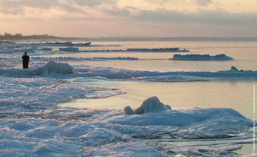 "Сцены у моря": фоторепортаж "Нового Калининграда.Ru"
