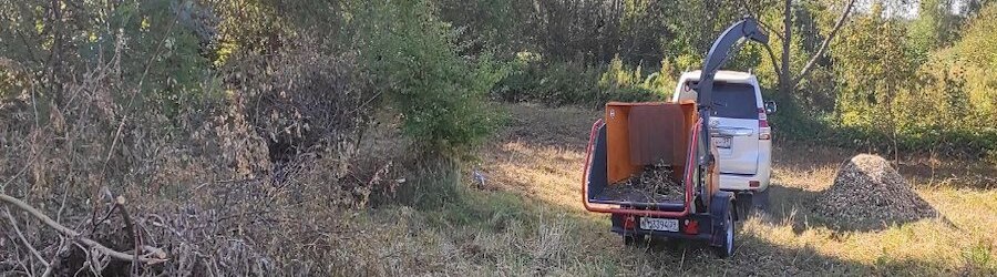 Вечерний@Калининград: прямая линия, «эффект Долиной» и дом на Новый год