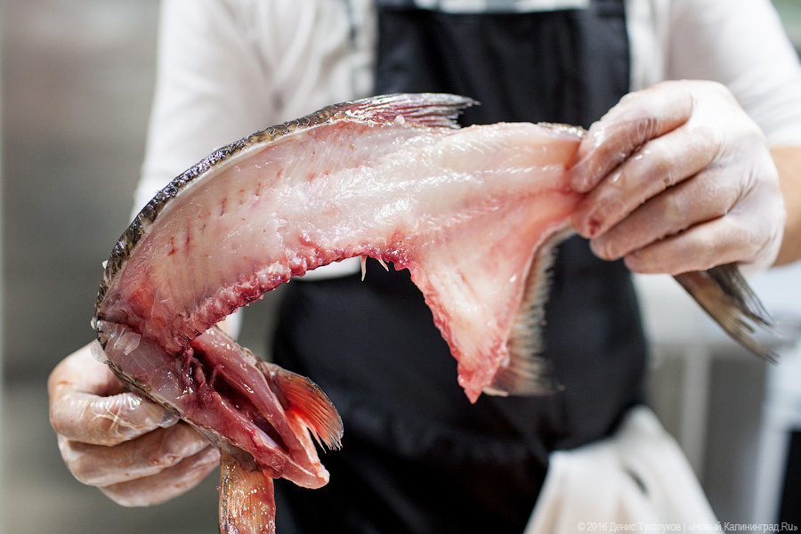 Треска из Пионерского, лещ из Полесска: что такое калининградская кухня