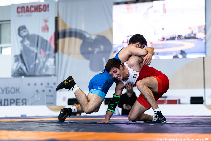 На пределе сил: в Калининграде прошел турнир по борьбе на Кубок Андрея Шумилина (фото)